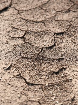 Cracked, parched land after a drought 