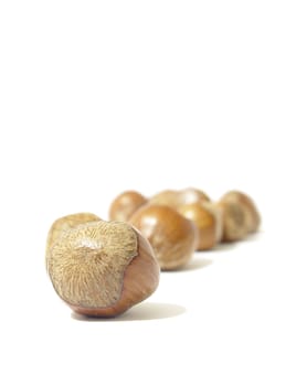 Chestnuts in a row, isolated on white