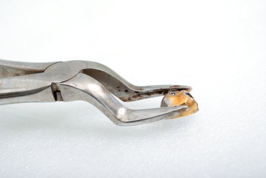 dental instrument.old curling irons