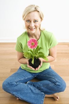 Portrait of smiling adult blonde woman sitting on floor holding pink gerber daisy plant.