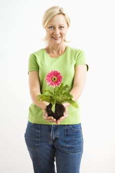 Portrait of smiling adult blonde woman standing holding pink gerber daisy plant.