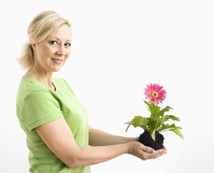 Side view of smiling adult blonde woman standing holding pink gerber daisy plant.