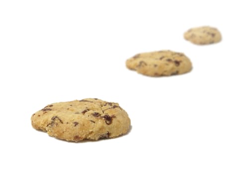 chocolate cookies in white background