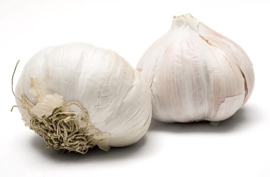 Fresh garlic bulbs isolated on a white background.