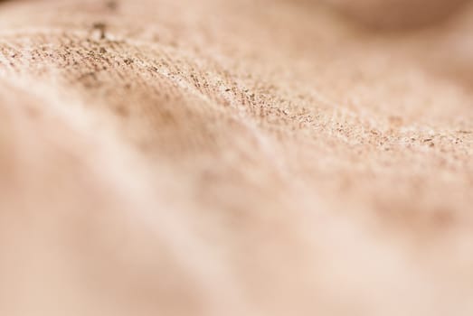 Texture of a mans palm dirty with soil.