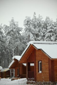 houses in winter forest snow around