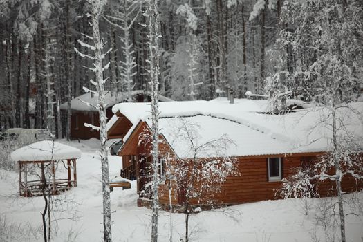 houses in winter forest snow around