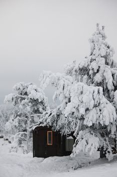 houses in winter forest snow around