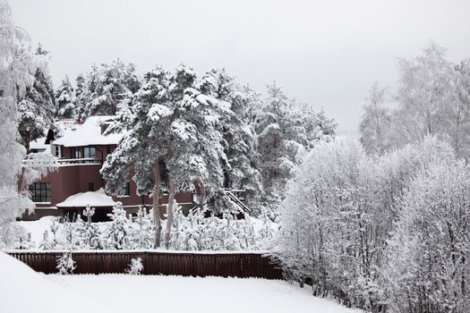 houses in winter forest snow around