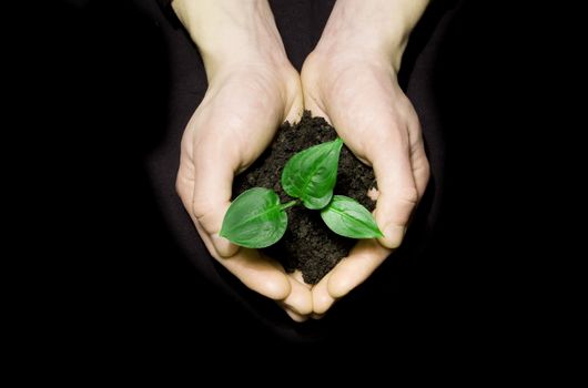 Hands holding sapling in soil on black