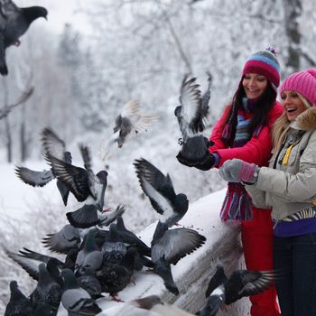 winter women give food to the pigeon