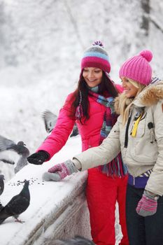 winter women give food to the pigeon