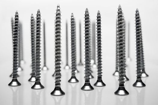 Screws on a reflecting background.