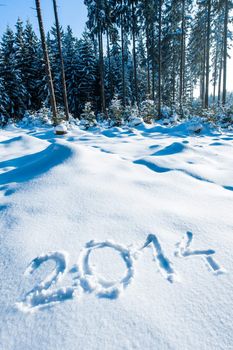 Year 2014 written in a winter forest