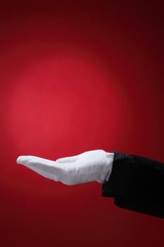 side view of the hand with white glove