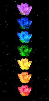 Chakra colors of lily flower in a column in night background