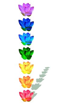 Chakra colors of lily flower in a column with their shadow in white background
