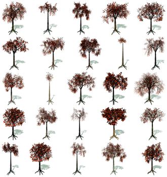 Set of trees in autumn, with their roots and shadows in white background