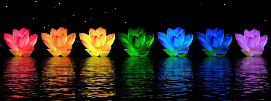 Chakra colors of lily flower upon water in night background