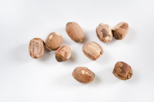 dry lotus seed on white background 