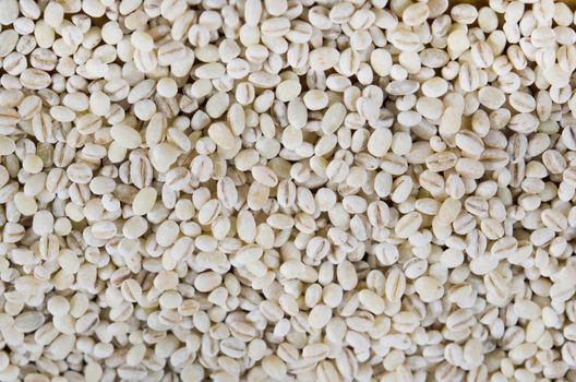 Pearl barley texture background full frame