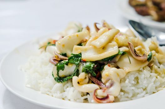squid  fried with chili pepper and sweet basil and rice , spicy thai dish