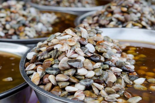 Preserved Razor clam for sale in  market of Thailand