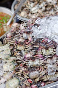 bangkok thailand seafood markets crabs for sale