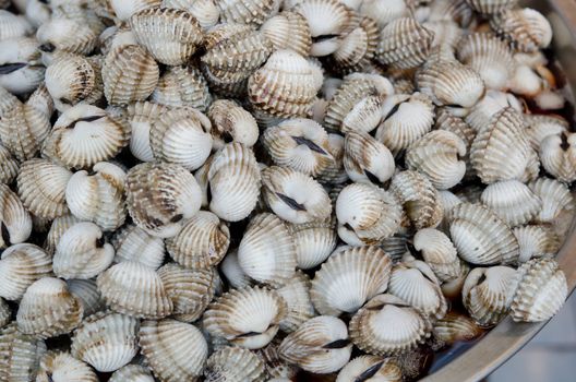 raw cockles in market of thailand 