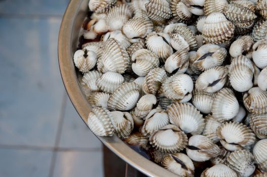 fresh  cockles in market of thailand , uncooked food