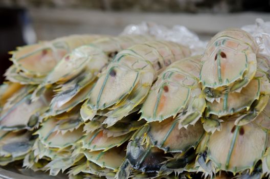 close up mantis shrimp with ice , seafood market