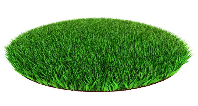 Beautiful green grass disc shape on white backround 3d render.clipping path included