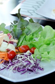 fresh salad  on white plate .