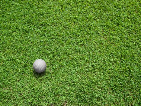 Top View of white Golf ball on Green Grass