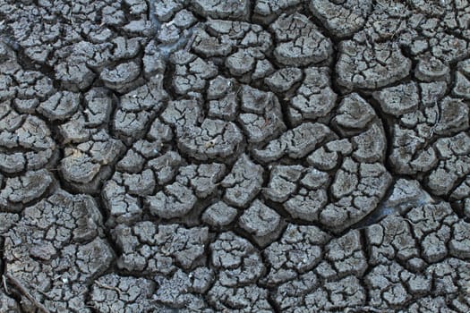 Cracked and parched dry earth