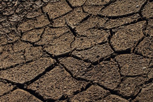Cracked and parched dry earth