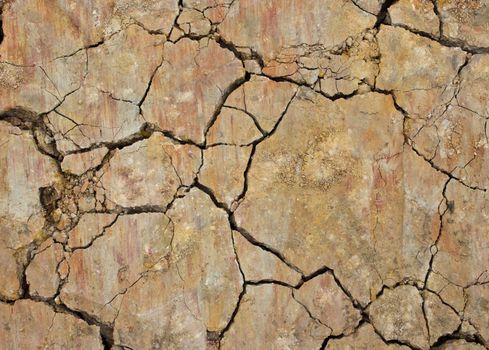 Closeup of dry soil texture. A beautiful patterns.