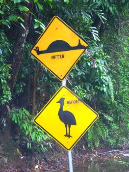 Cassowary sign in the Daintree Rainforest of Queensland, Australia.