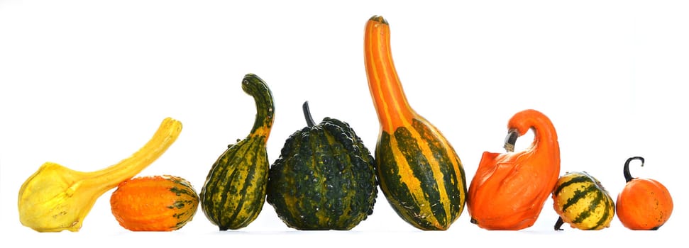 Bunch of gourds of different color and shape