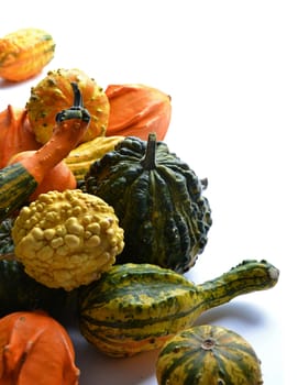 Bunch of gourds of different color and shape