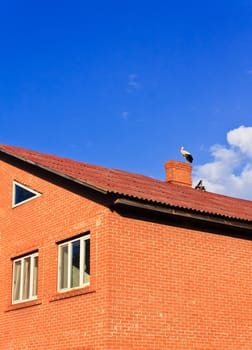 Stork sitting on the top of a roof