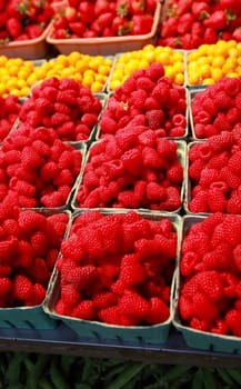 fresh pints of raspberries at the market