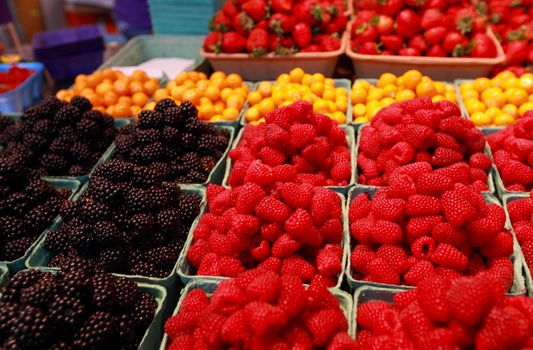 fresh pints of raspberries at the market