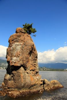 Siwash Rock in Vancouver harbour , flowerpot geological rock formation