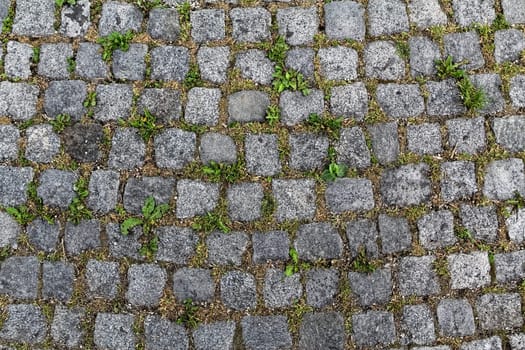 A stone pattern with grass in Vienna, Austria