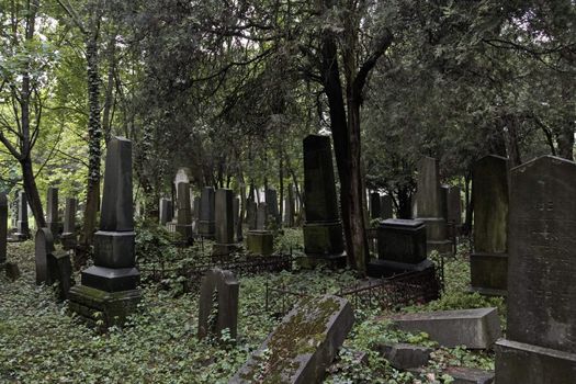 Abandoned jewish section of the central cemetery in Vienna Austria