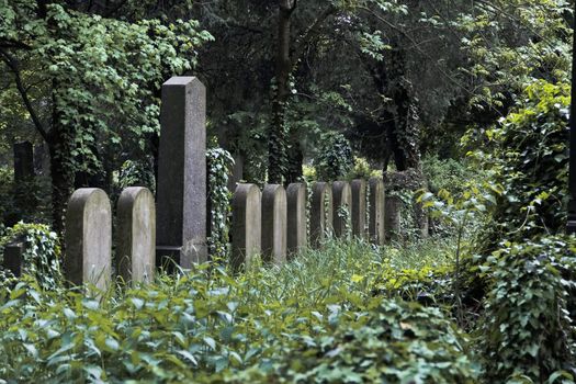 Nameless graves in the jewish section of the central cemetery in Vienna Austria