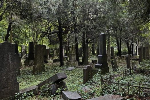 Lost jewish section of the central cemetery in Vienna Austria