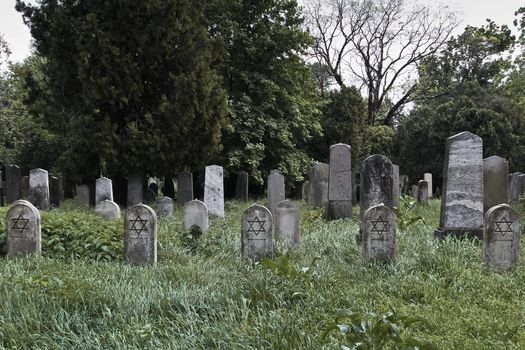 A set of jewish nameless graves with stones on the tombstones as the sign for having been visited recently