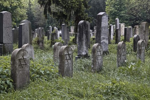 A set of jewish nameless graves with stones on the tombstones as the sign for having been visited recently